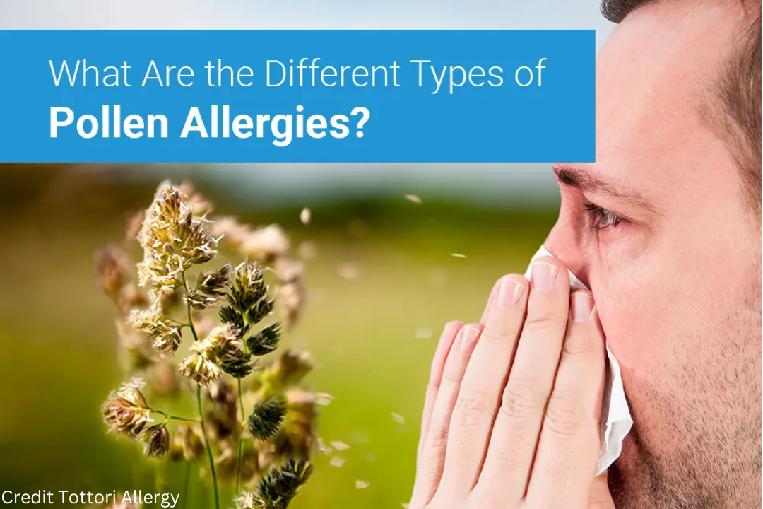 Managing Allergies to Pollen: Being Aware of the Increase