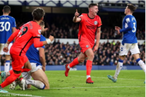 Brighton & Hove Albion vs. Everton COMPARE THE FACTS