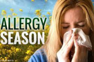 Managing Allergies to Pollen, hay fever sufferers, to lessen symptoms this spring.