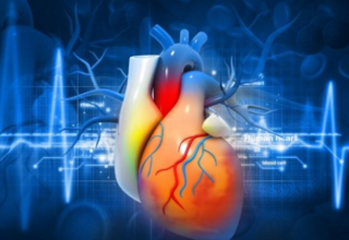 It is expected that the market for cardiovascular devices will have grown to USD 106.54 billion.