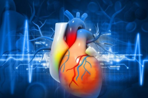 It is expected that the market for cardiovascular devices will have grown to USD 106.54 billion.