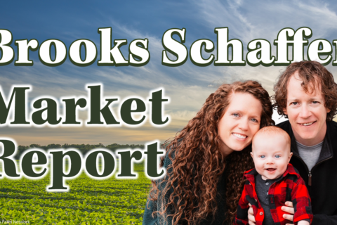 Brooks Schaffer Market Report for Friday May 17